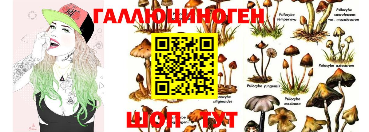Нерюнгри  Галлюциногенные грибы Cubensis  Псилоцибиновые грибы GOLDEN TEACHER  Вход с VPN 