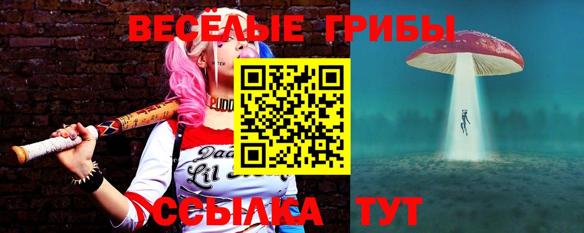 Галлюциногенные грибы мухоморы Нерюнгри